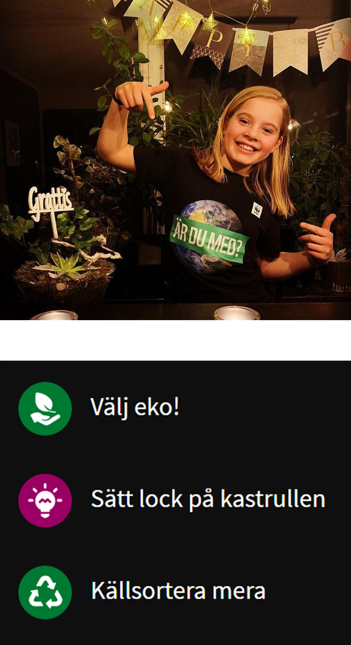 Elsas förändringar